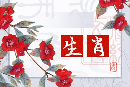 愚蠢至極的生肖女，誰的表現最讓人失望