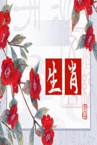 愚蠢至極的生肖女，誰(shuí)的表現(xiàn)最讓人失望