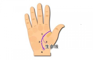 雙重生命線代表什么呢？有什么含義呢？
