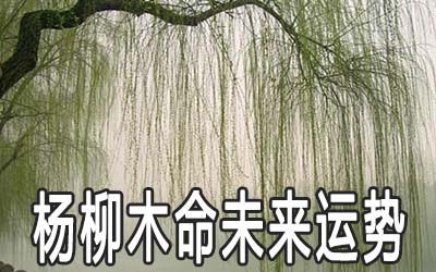 楊柳木命的男人一生命運(yùn)運(yùn)勢(shì)好不好