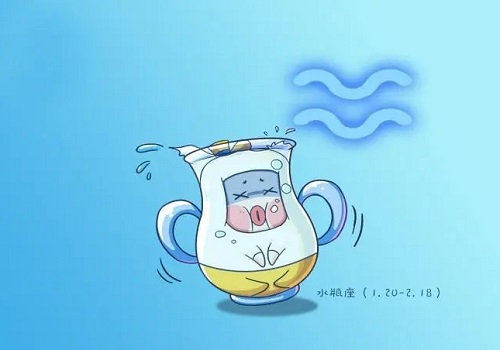 水瓶座運(yùn)勢(shì)2024整體運(yùn)勢(shì) 水瓶座2024每月運(yùn)勢(shì)詳解