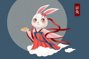 屬兔人如何改變財運(yùn)方法