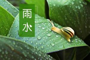 卜算子算命網