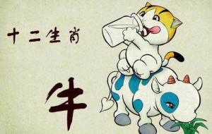 屬牛2024年整體運(yùn)勢(shì)，屬牛2024年的運(yùn)勢(shì)及運(yùn)程！