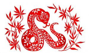 屬蛇2024年整體運(yùn)勢(shì)，屬蛇2024年的運(yùn)勢(shì)及運(yùn)程！
