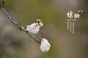 驚蟄節氣的特點和風俗