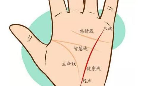 女人手相事業線圖解大全，女人手相事業線怎么看？