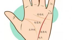 女人手相事業線圖解大全，女人手相事業線怎么看？