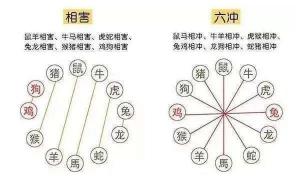 生肖相沖真的不能在一起嗎，怎么化解？