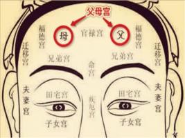 日月角突出的面相，日月角突出必為貴人