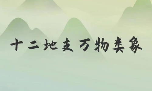 類象是什么意思，八卦萬物類象詳解！