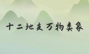 類象是什么意思，八卦萬物類象詳解！