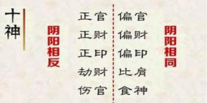 十神詳解大全，十神各代表的意思詳解！