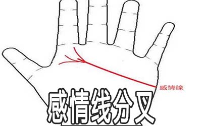 感情線(xiàn)末端分叉是什么意思