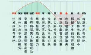 十二長生對照表，十二長生的用法與詳解！