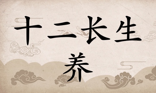 養在八字里面代表什么