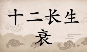 衰在八字里面代表什么，衰在八字里面代表什么意思？ 