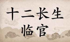 臨官在八字里面代表什么，臨官在八字中代表什么意思？