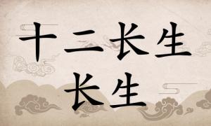 長生在八字里面代表什么，長生在八字中代表什么意思？