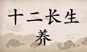 養在八字里面代表什么，養在八字中代表什么意思？