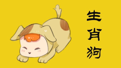 屬狗2024年運(yùn)勢(shì)及運(yùn)程詳解