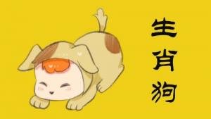 屬狗2024年運(yùn)勢(shì)及運(yùn)程詳解，屬狗人2024年每月運(yùn)勢(shì)完整版！