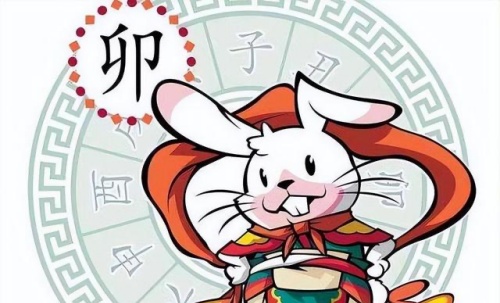 屬兔人2024年全年運勢運程，屬兔人今年運勢2024年每月運勢！