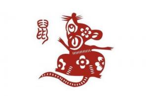 屬鼠人2024年全年運勢運程，屬鼠人2024年每月運勢運程！