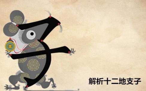 十二地支子是什么意思，五行屬什么？