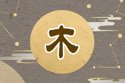 五行屬木的行業和工作
