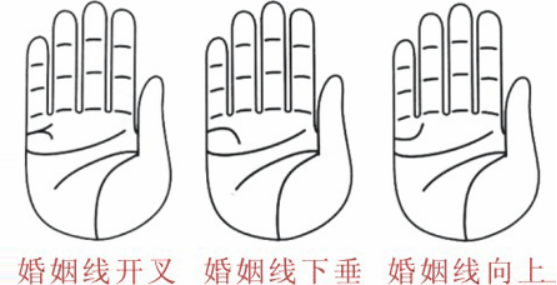 婚姻線分叉代表什么，婚姻線分叉是什么意思？