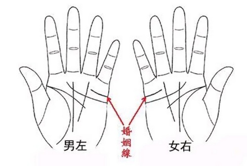 婚姻線看夫妻關系