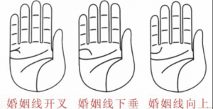 婚姻線分叉代表什么，婚姻線分叉是什么意思？