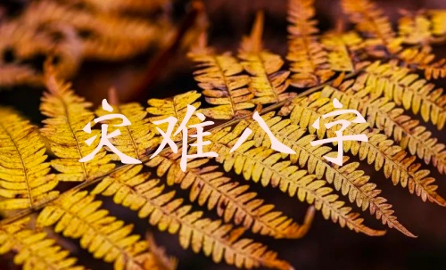 命局里易出現災難的八字