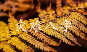 命局里易出現災難的八字
