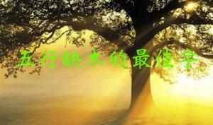 五行缺木的最佳字，五行缺木屬性的字大全！
