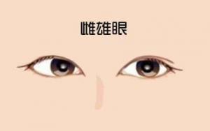 一內雙一外雙是什么眼面相