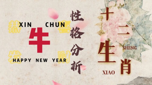屬牛的人性格和優缺點