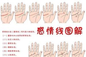感情線圖解大全，感情線到中指下方表示什么？