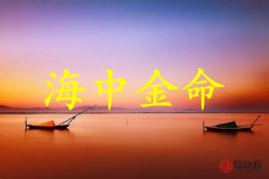海中金命人適合什么行業最旺財