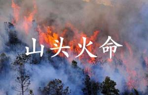 山頭火命做什么行業比較旺