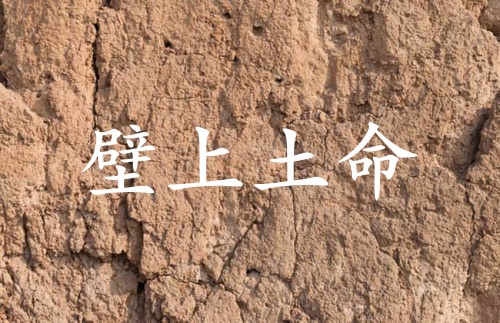 壁上土命女孩命運