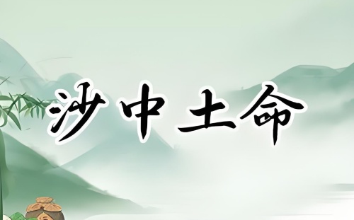 沙中土命適合干什么行業