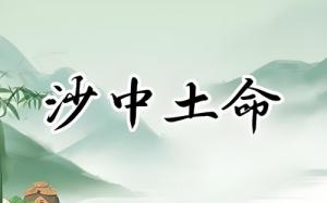 沙中土命適合干什么行業