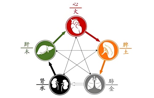五行內(nèi)臟對照表，五行內(nèi)臟對應(yīng)關(guān)系！