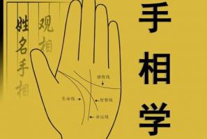 手相真的能看出一個(gè)人的命運(yùn)嗎