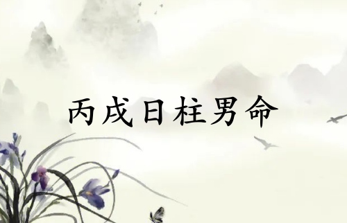 丙戌日柱男命運詳解