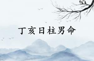 丁亥日柱男命運詳解