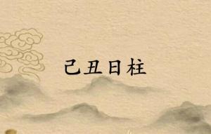 己丑日柱三命通會精論解析