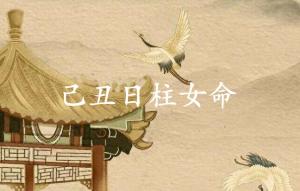 己丑日柱女命運分析